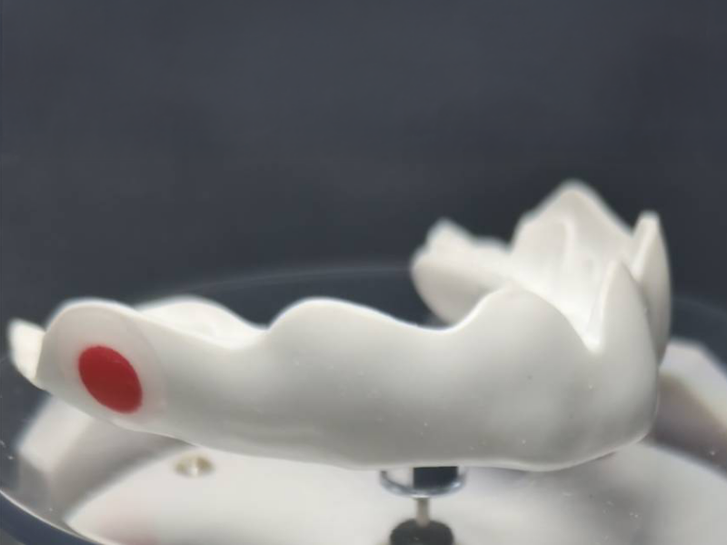 スポーツ関連事業（マウスガード製作）